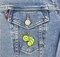 Caterpillar, Shimmery, Whimsical Patches, Embroidered, Iron on Patch